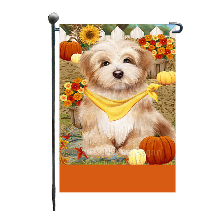 Personalized Fall Autumn Greeting Havanese Dog with Pumpkins Custom Garden Flags GFLG-DOTD-A61943