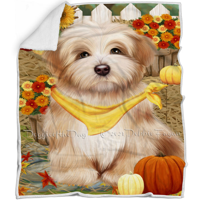 Fall Autumn Greeting Havanese Dog with Pumpkins Blanket BLNKT72948