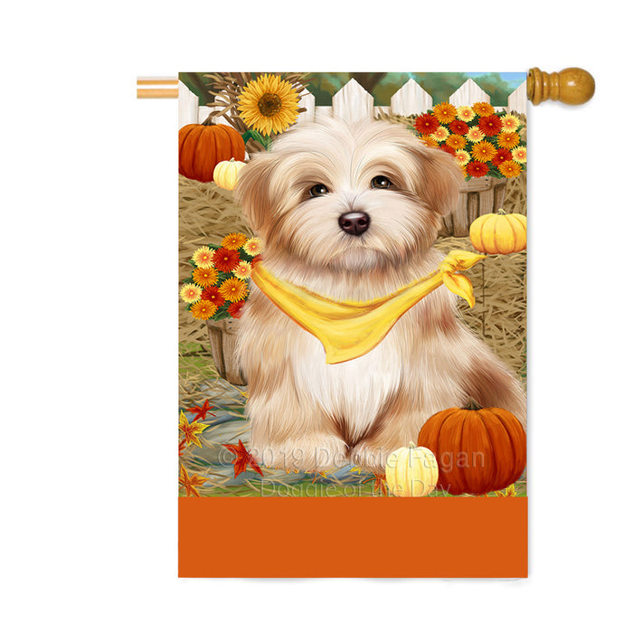 Personalized Fall Autumn Greeting Havanese Dog with Pumpkins Custom House Flag FLG-DOTD-A61999