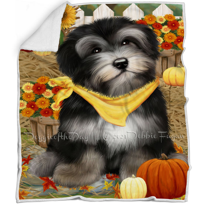 Fall Autumn Greeting Havanese Dog with Pumpkins Blanket BLNKT72957