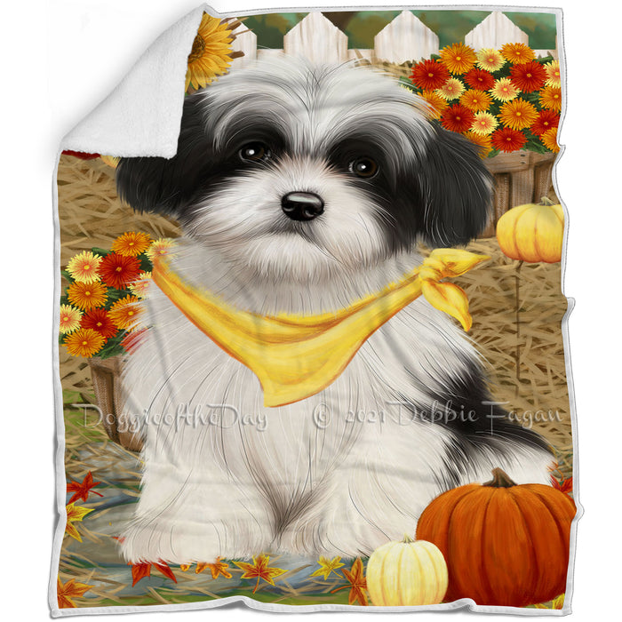 Fall Autumn Greeting Havanese Dog with Pumpkins Blanket BLNKT72966