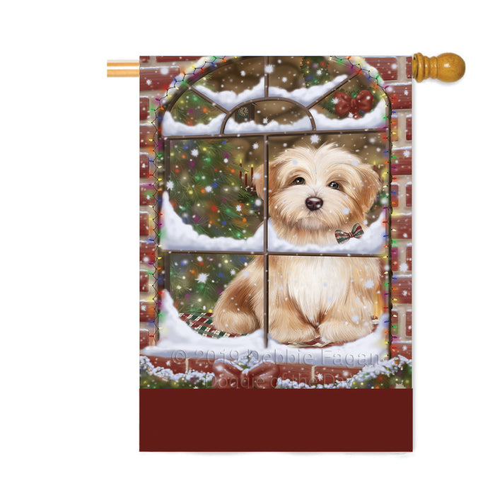 Personalized Please Come Home For Christmas Havanese Dog Sitting In Window Custom House Flag FLG-DOTD-A60226