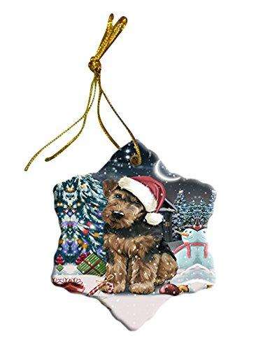 Have a Holly Jolly Airedale Dog Christmas Star Ornament POR2372
