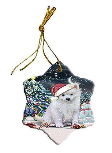Have a Holly Jolly American Eskimo Dog Christmas Star Ornament POR2537