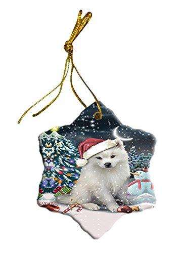 Have a Holly Jolly American Eskimo Dog Christmas Star Ornament POR2538