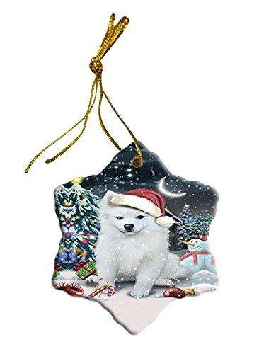 Have a Holly Jolly American Eskimo Dog Christmas Star Ornament POR2539