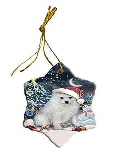 Have a Holly Jolly American Eskimo Dog Christmas Star Ornament POR2540