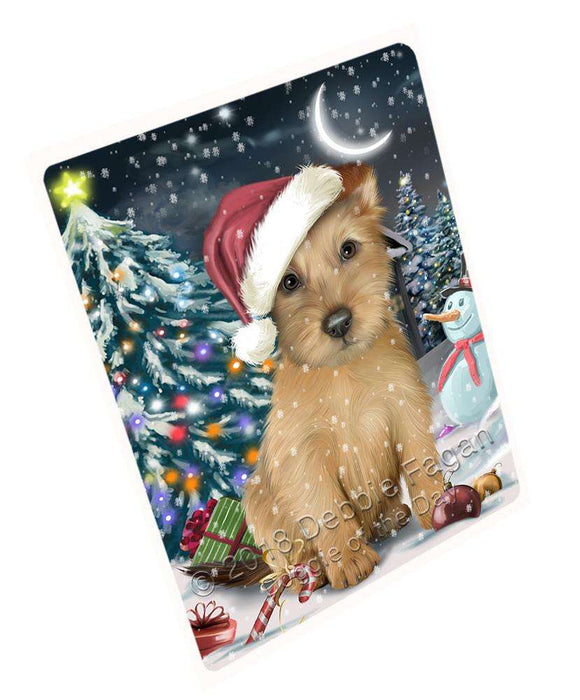 Have a Holly Jolly Australian Terrier Dog Christmas Large Refrigerator / Dishwasher Magnet RMAG70242