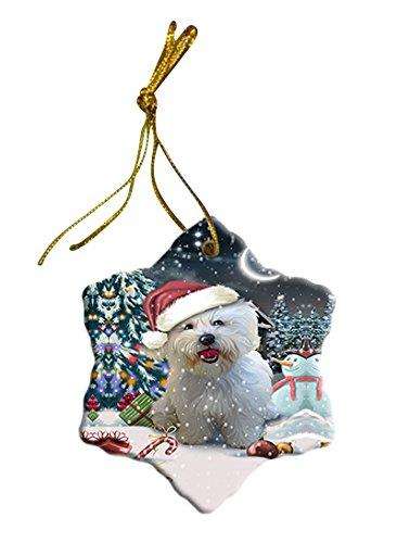 Have a Holly Jolly Bichon Dog Christmas Star Ornament POR2386