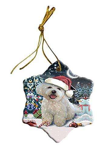 Have a Holly Jolly Bichon Dog Christmas Star Ornament POR2387