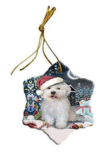 Have a Holly Jolly Bichon Dog Christmas Star Ornament POR2388