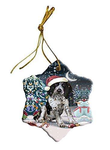 Have a Holly Jolly Bluetick Coonhound Dog Christmas Star Ornament POR2461