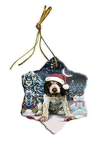 Have a Holly Jolly Bluetick Coonhound Dog Christmas Star Ornament POR2463