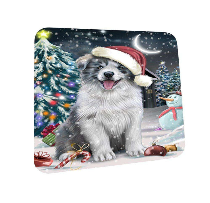 Have a Holly Jolly Border Collie Dog Christmas Coasters CST635 (Set of 4)