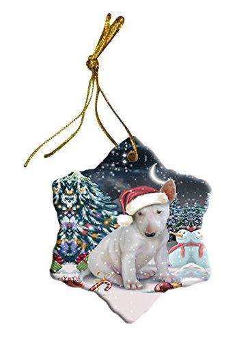 Have a Holly Jolly Bull Terrier Dog Christmas Star Ornament POR2467