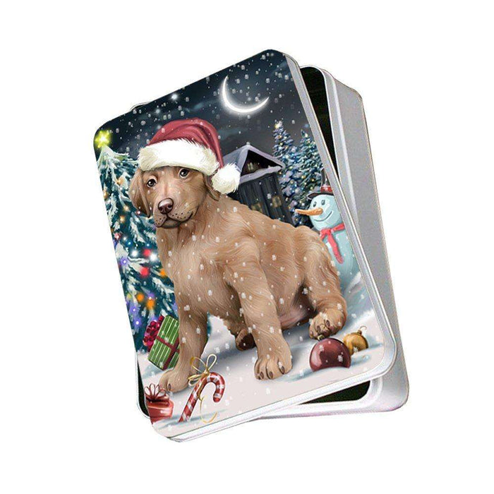 Have a Holly Jolly Chesapeake Bay Retriever Dog Christmas Photo Storage Tin PTIN0216