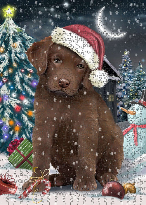 Have a Holly Jolly Chesapeake Bay Retriever Dog Christmas Puzzle with Photo Tin PUZL141
