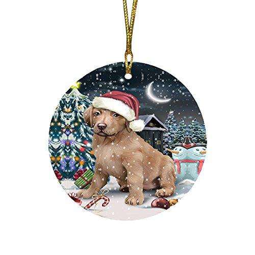 Have a Holly Jolly Chesapeake Bay Retriever Dog Christmas Round Flat Ornament POR1393