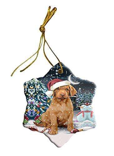 Have a Holly Jolly Chesapeake Bay Retriever Dog Christmas Star Ornament POR2513