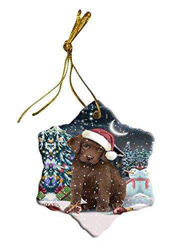 Have a Holly Jolly Chesapeake Bay Retriever Dog Christmas Star Ornament POR2514
