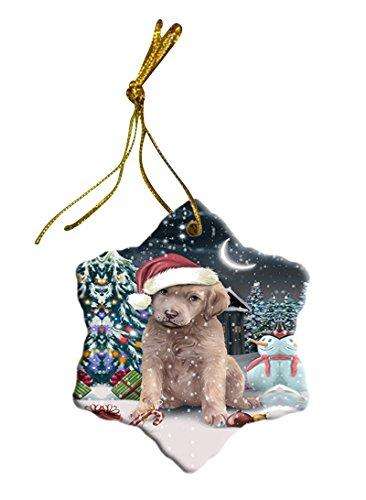 Have a Holly Jolly Chesapeake Bay Retriever Dog Christmas Star Ornament POR2515