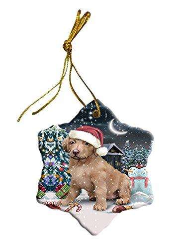 Have a Holly Jolly Chesapeake Bay Retriever Dog Christmas Star Ornament POR2516