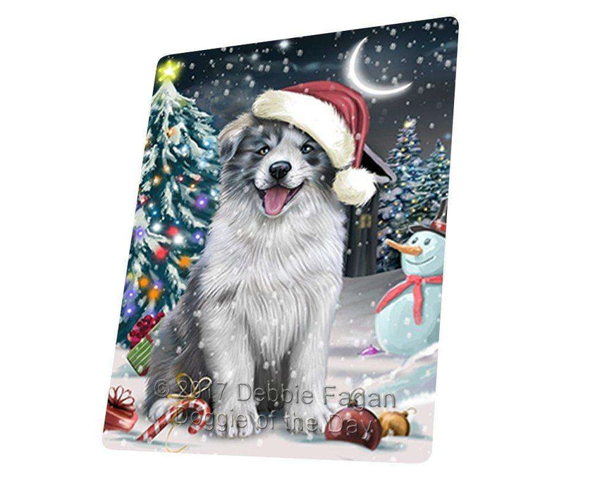 Have a Holly Jolly Christmas Border Collie Dog in Holiday Background Large Refrigerator / Dishwasher Magnet D073
