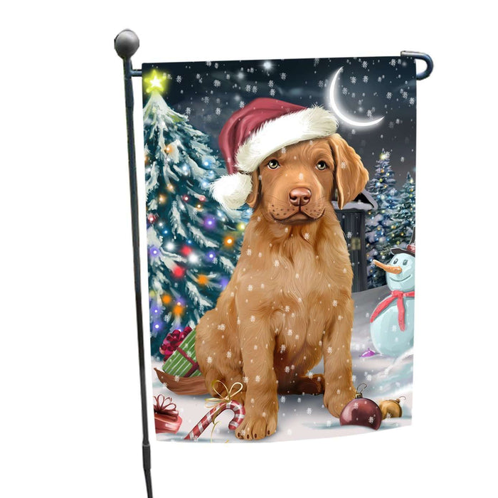 Have a Holly Jolly Christmas Chesapeake Bay Retrievers Dog in Holiday Background Garden Flag D150
