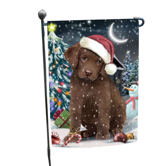 Have a Holly Jolly Christmas Chesapeake Bay Retrievers Dog in Holiday Background Garden Flag D151