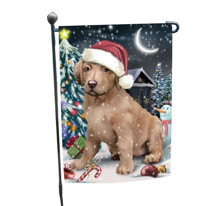 Have a Holly Jolly Christmas Chesapeake Bay Retrievers Dog in Holiday Background Garden Flag D153