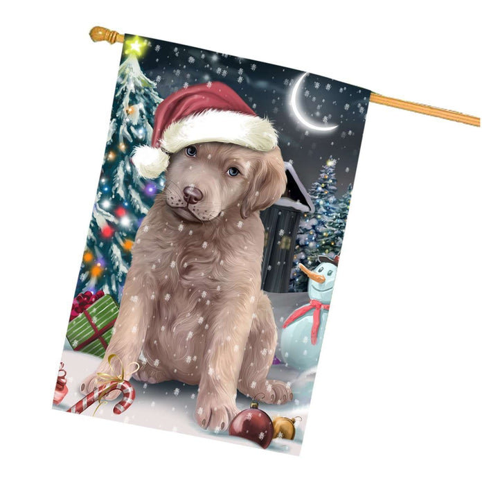 Have a Holly Jolly Christmas Chesapeake Bay Retrievers Dog in Holiday Background House Flag