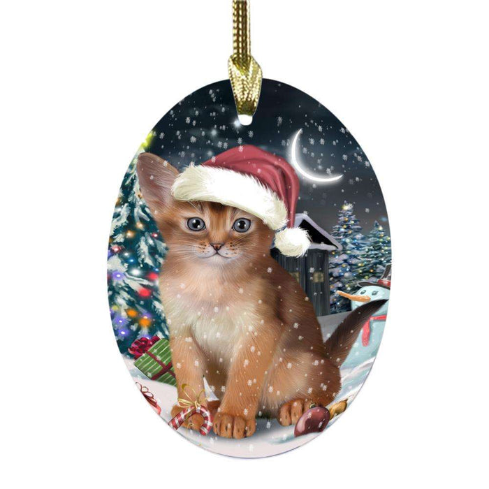 Have a Holly Jolly Christmas Happy Holidays Abyssinian Cat Oval Glass Christmas Ornament OGOR48001
