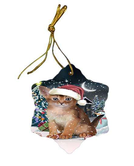 Have a Holly Jolly Christmas Happy Holidays Abyssinian Cat Star Porcelain Ornament SPOR54225