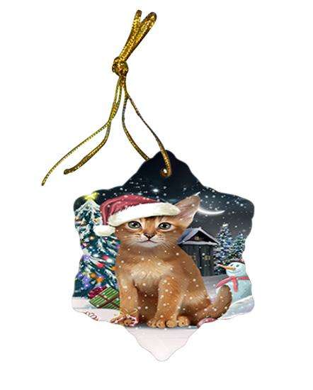 Have a Holly Jolly Christmas Happy Holidays Abyssinian Cat Star Porcelain Ornament SPOR54227