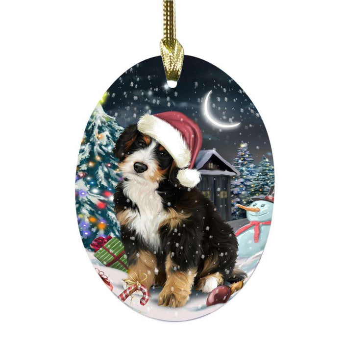 Have a Holly Jolly Christmas Happy Holidays Bernedoodle Dog Oval Glass Christmas Ornament OGOR48088