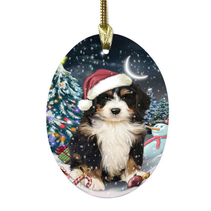 Have a Holly Jolly Christmas Happy Holidays Bernedoodle Dog Oval Glass Christmas Ornament OGOR48090