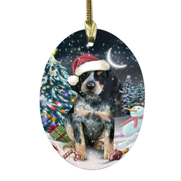 Have a Holly Jolly Christmas Happy Holidays Bluetick Coonhound Dog Oval Glass Christmas Ornament OGOR48097