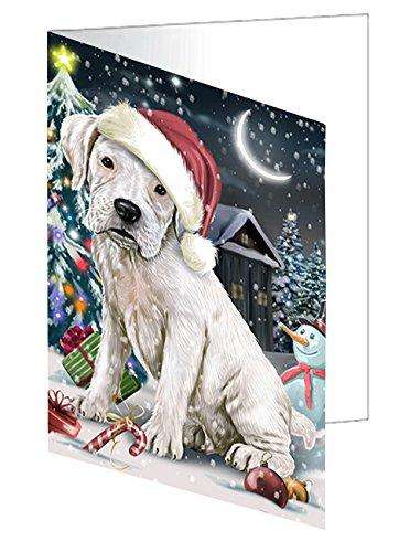Have a Holly Jolly Christmas Happy Holidays Boxer Dog Handmade Artwork Assorted Pets Greeting Cards and Note Cards with Envelopes for All Occasions and Holiday Seasons GCD2285