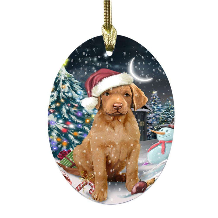 Have a Holly Jolly Christmas Happy Holidays Chesapeake Bay Retriever Dog Oval Glass Christmas Ornament OGOR48128