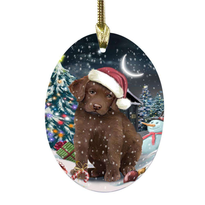 Have a Holly Jolly Christmas Happy Holidays Chesapeake Bay Retriever Dog Oval Glass Christmas Ornament OGOR48129