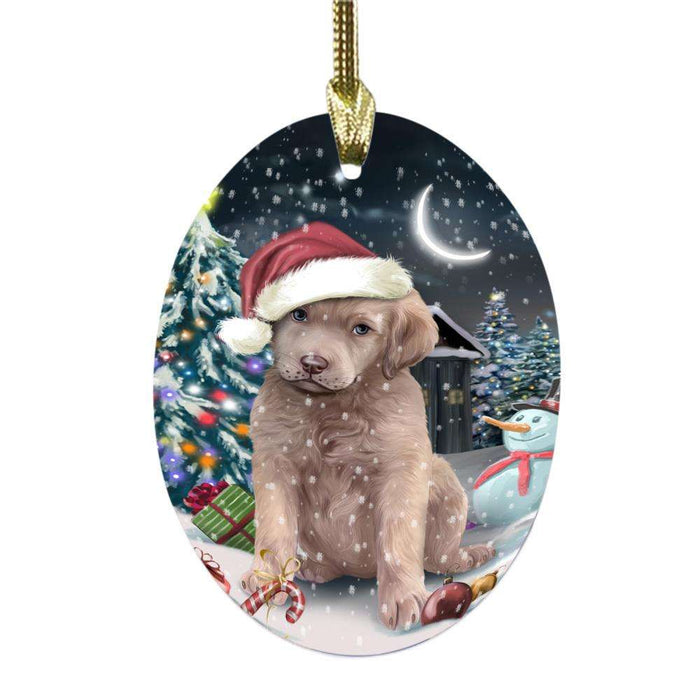 Have a Holly Jolly Christmas Happy Holidays Chesapeake Bay Retriever Dog Oval Glass Christmas Ornament OGOR48130