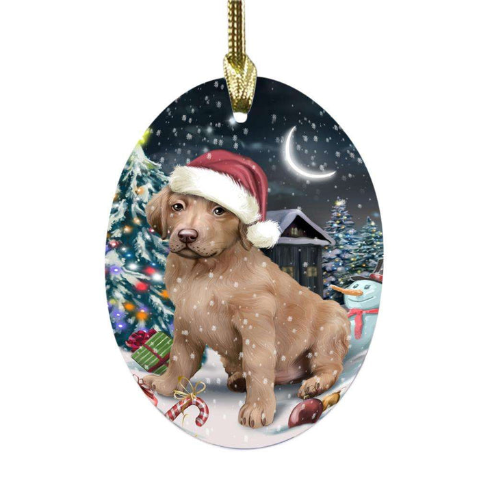 Have a Holly Jolly Christmas Happy Holidays Chesapeake Bay Retriever Dog Oval Glass Christmas Ornament OGOR48131