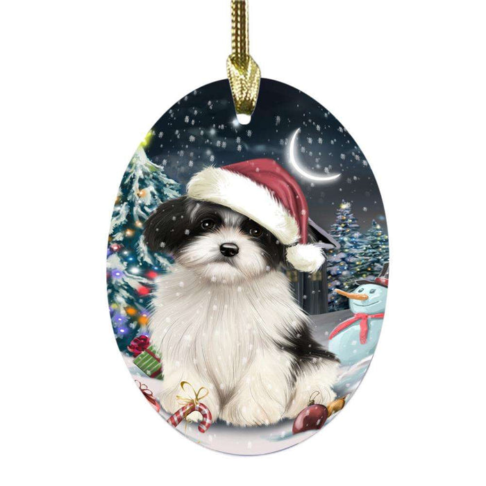 Have a Holly Jolly Christmas Happy Holidays Havanese Dog Oval Glass Christmas Ornament OGOR48162