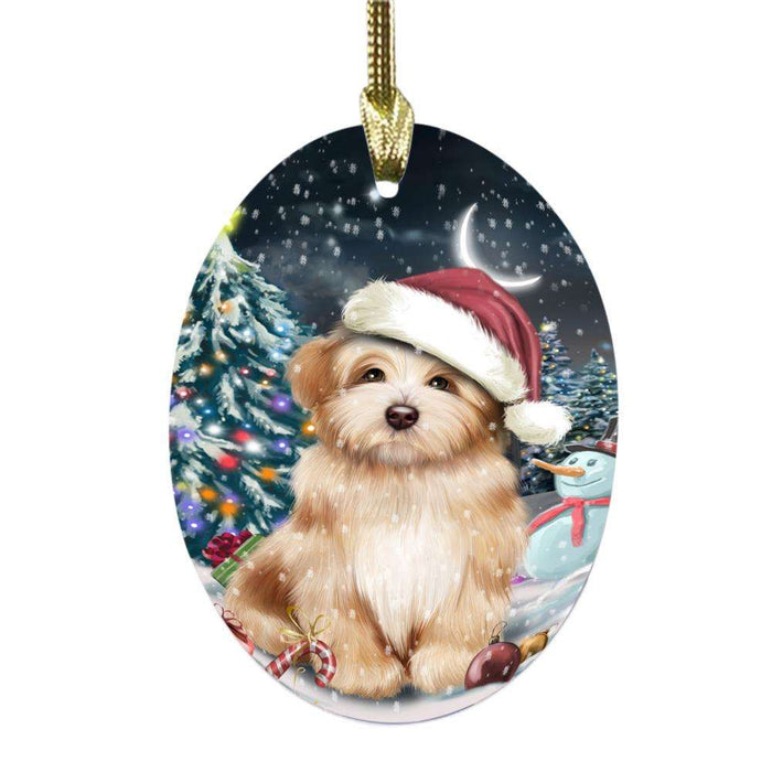 Have a Holly Jolly Christmas Happy Holidays Havanese Dog Oval Glass Christmas Ornament OGOR48163