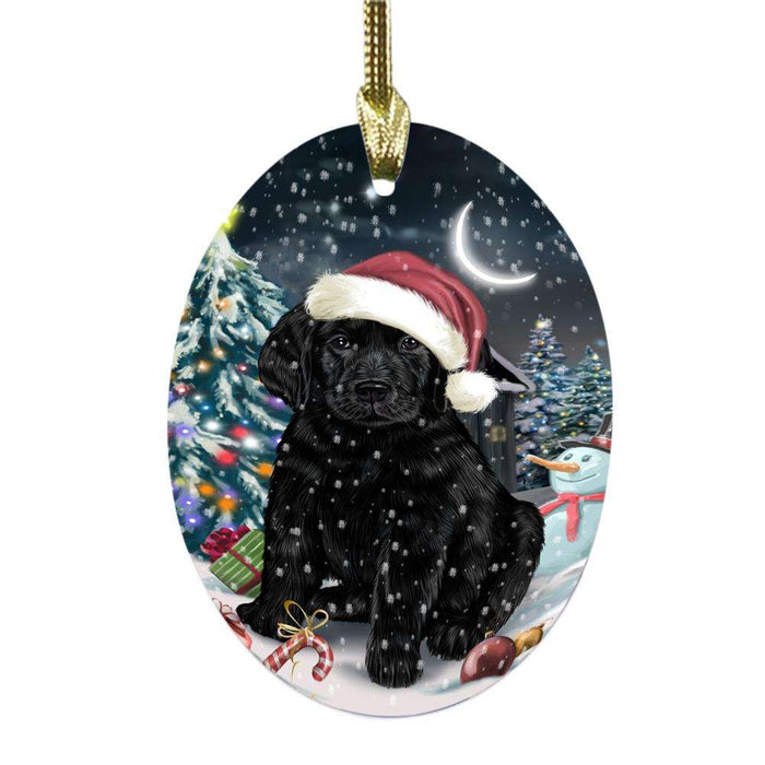 Have a Holly Jolly Christmas Happy Holidays Labrador Dog Oval Glass Christmas Ornament OGOR48307