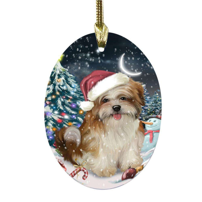 Have a Holly Jolly Christmas Happy Holidays Malti Tzu Dog Oval Glass Christmas Ornament OGOR48308