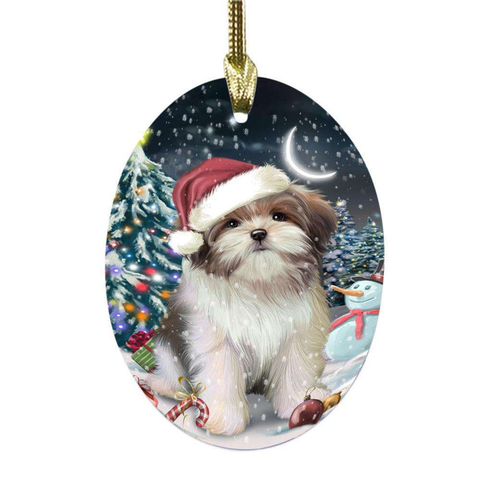 Have a Holly Jolly Christmas Happy Holidays Malti Tzu Dog Oval Glass Christmas Ornament OGOR48310