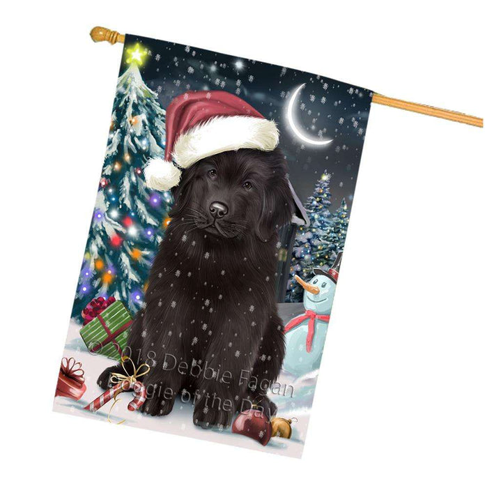 Have a Holly Jolly Christmas Happy Holidays Newfoundland Dog House Flag FLG54440