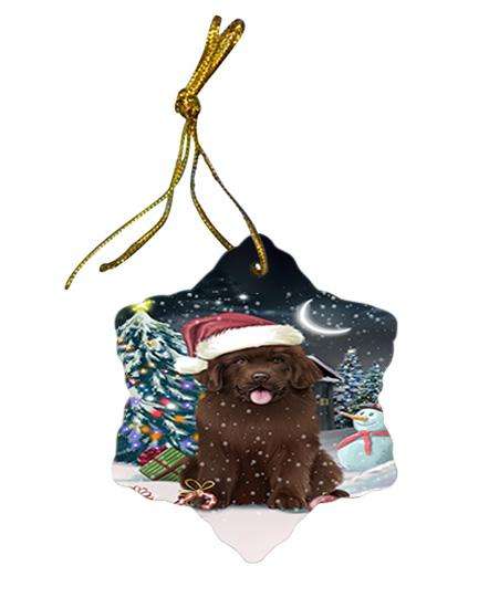 Have a Holly Jolly Christmas Happy Holidays Newfoundland Dog Star Porcelain Ornament SPOR54235