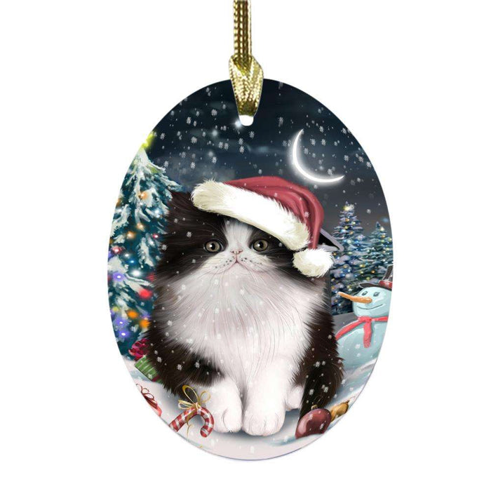 Have a Holly Jolly Christmas Happy Holidays Persian Cat Oval Glass Christmas Ornament OGOR48186